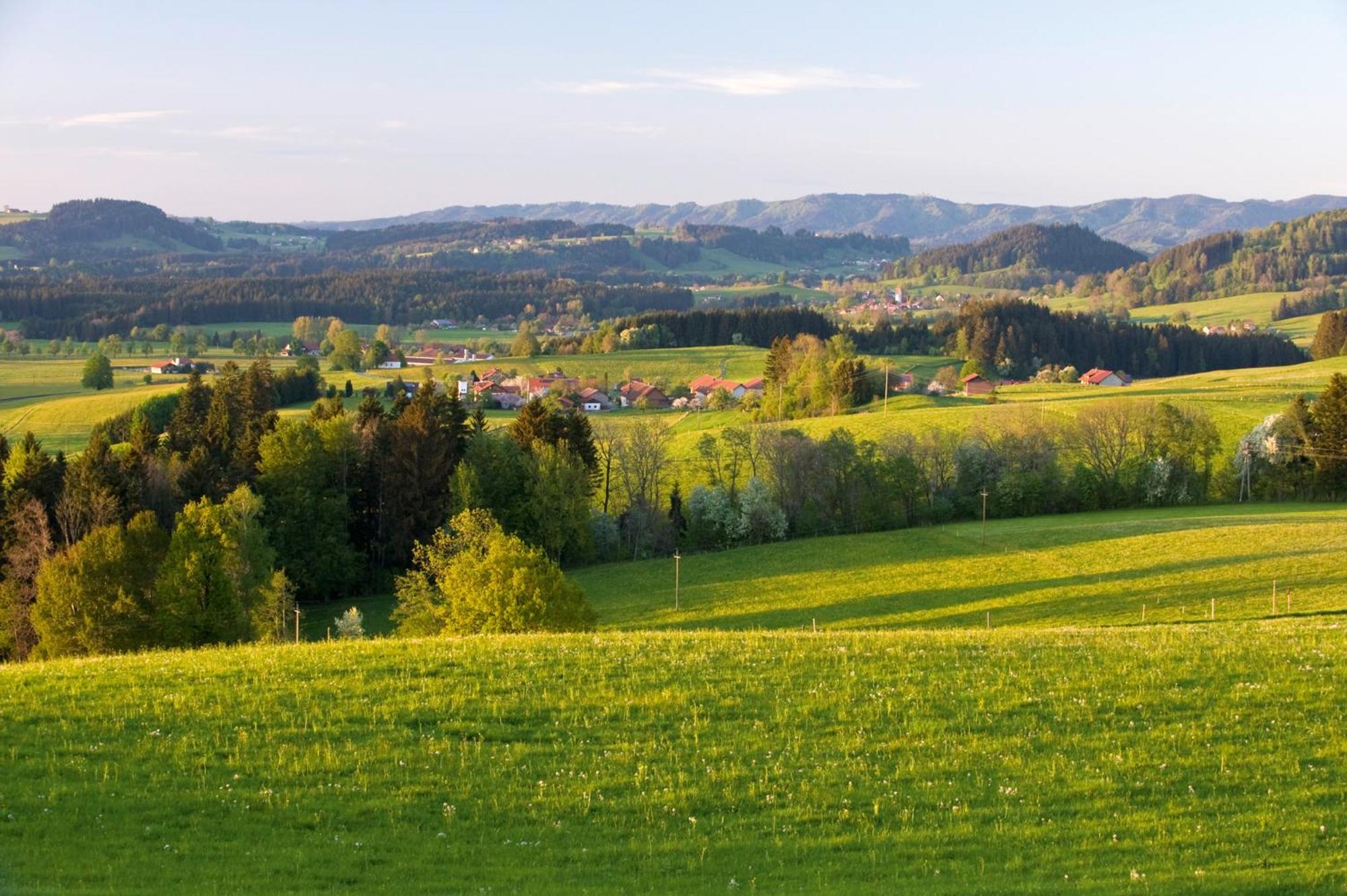 Allgaeu-Glueck Gruenenbach Grunenbach Екстер'єр фото
